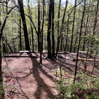 Stellar Tent Site Kudzu